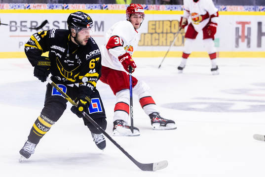 Västerås Konstantin Komarek
