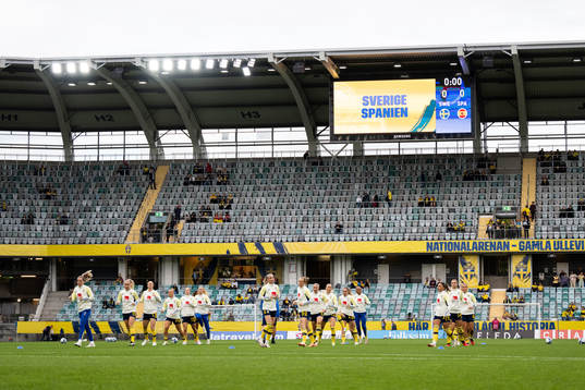 Players of Sweden