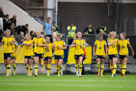 Players of Sweden