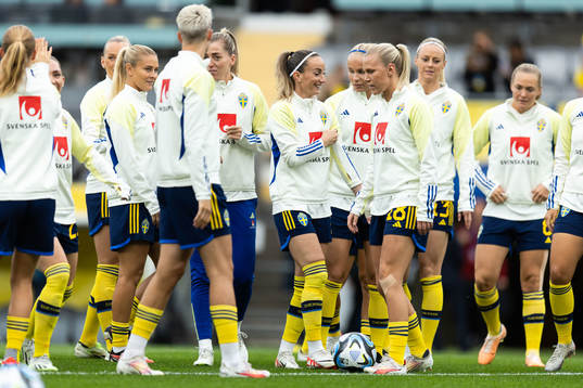 Players of Sweden