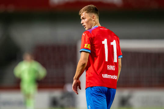 Helsingborgs Erik Ring