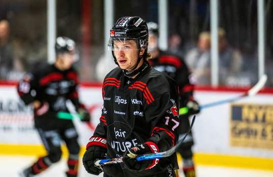 Nybros Maxim Golod