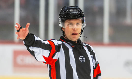 Domare Fredrik Rönnberg