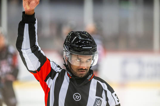 Domare Filip Sandstedt
