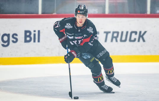 Nybros Maxim Golod