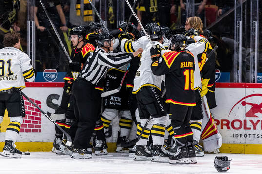 AIKs och Brynäs spelare