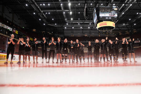 Brynäs spelare jublar
