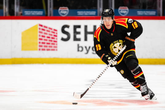 Brynäs Tyler Kelleher