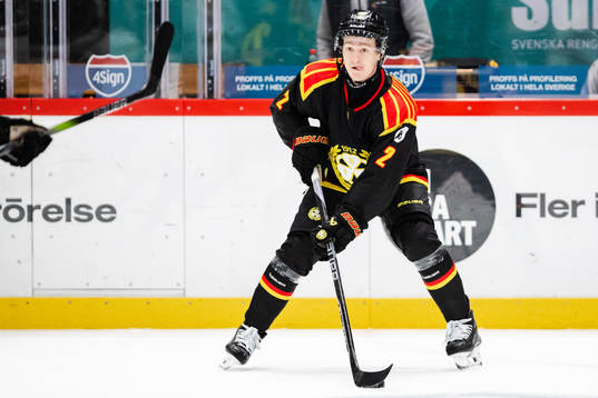 Brynäs Anton Johannesson