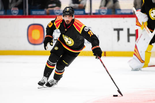 Brynäs Tyler Vesel