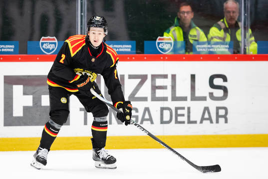 Brynäs Anton Johannesson
