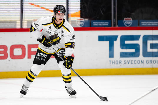 AIKs Tom Hedberg