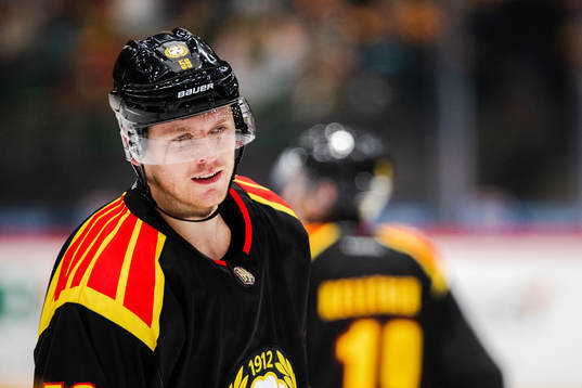 Brynäs Karlis Cukste