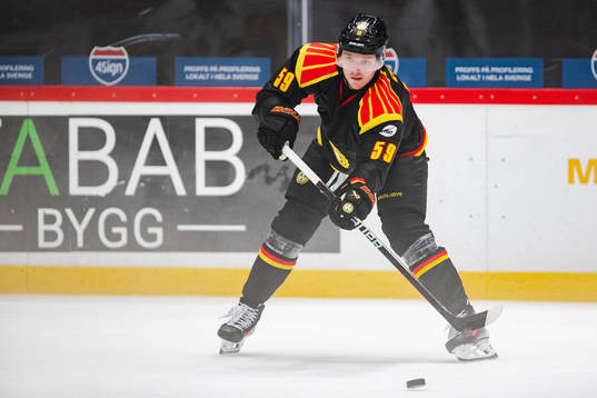 Brynäs Karlis Cukste