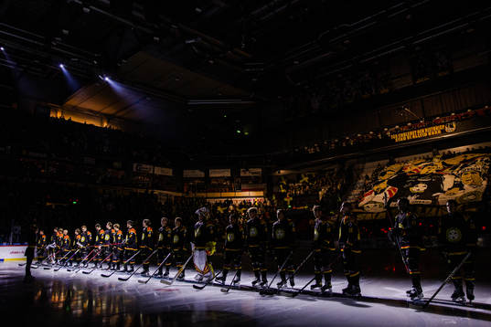 Brynäs spelare