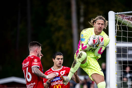 Malmö FFs målvakt Johan Dahlin