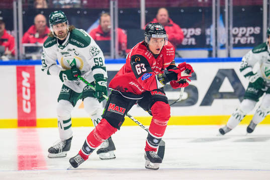 Färjestads Linus Johansson och Malmö Redhawks Fredrik