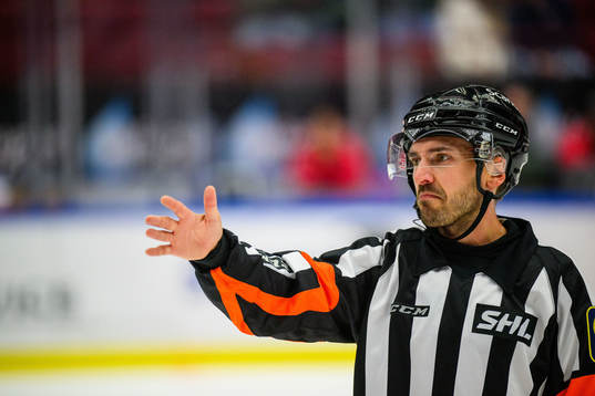 Domare Mattias Enroth