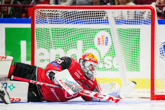 Malmö Redhawks målvakt Adam Werner