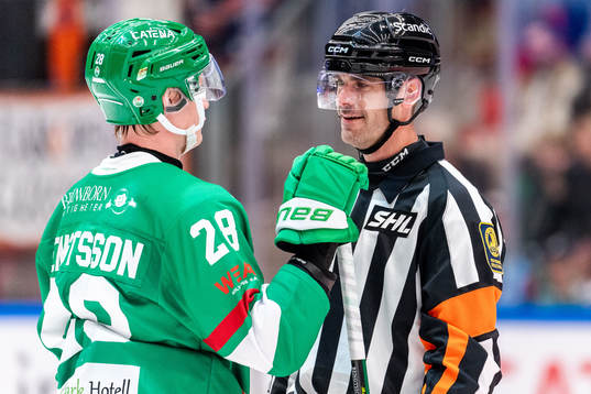 Rögles Anton Bengtsson i samtal med domare Richard