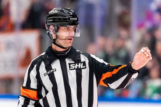 Domare Richard Magnusson