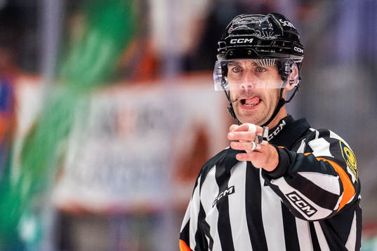 Domare Richard Magnusson