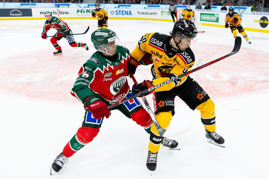 Frölundas Filip Hasa och Luleås David Lilja