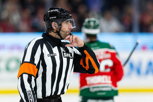 Domare Mikael Sjöqvist