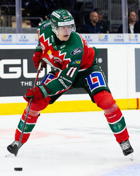 Frölundas Erik Borg