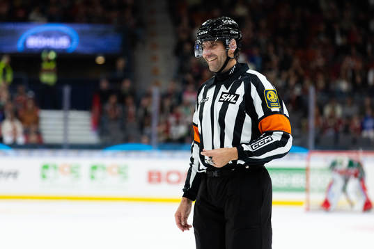Domare Mikael Sjöqvist