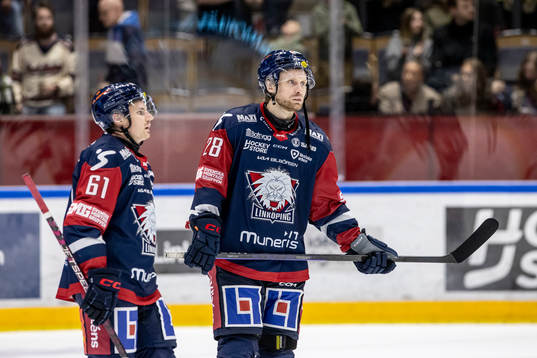 Linköpings Markus Ljungh och John Nyberg deppar