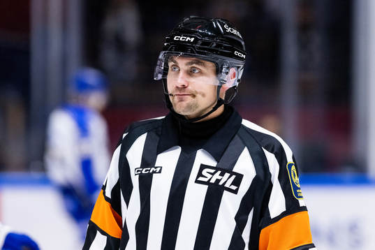 Domaren David Laksola