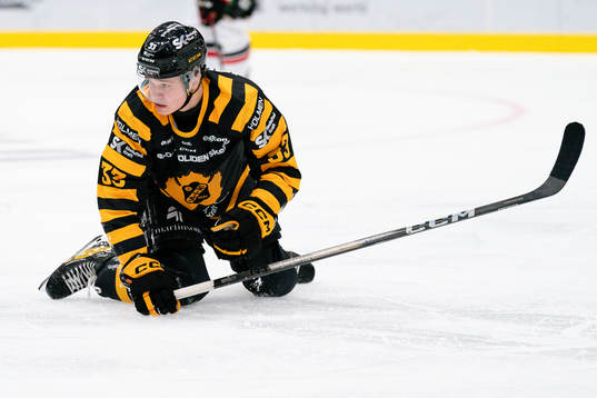 Skellefteås Zeb Forsfjäll