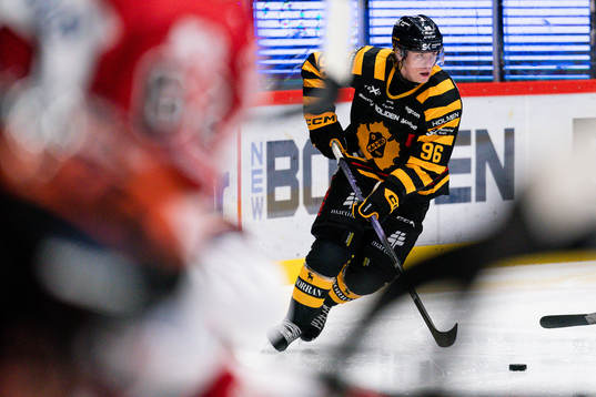 Skellefteås Rickard Hugg