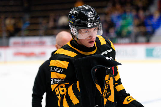 Skellefteås Rickard Hugg