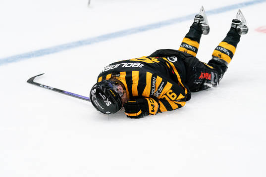 Skellefteås Rickard Hugg