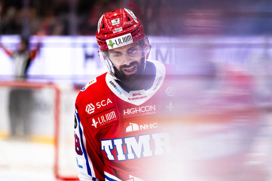 Timrås Robin Hanzl