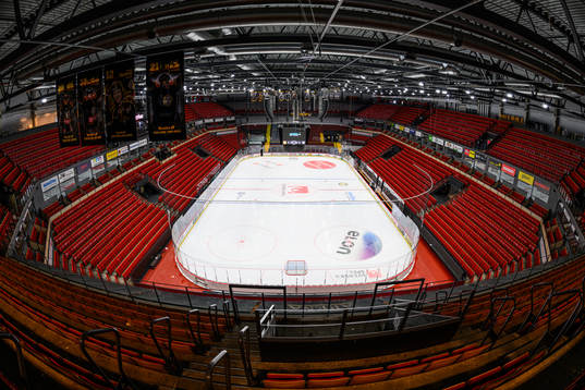 Monitor ERP Arena