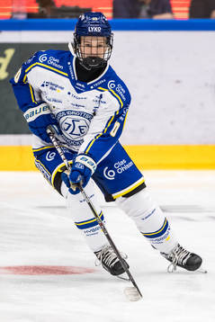 Leksands Tilde Sundnäs Grillfors