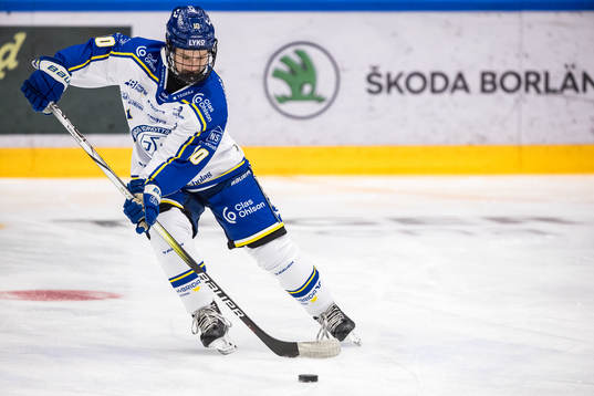 Leksands Tilde Sundnäs Grillfors