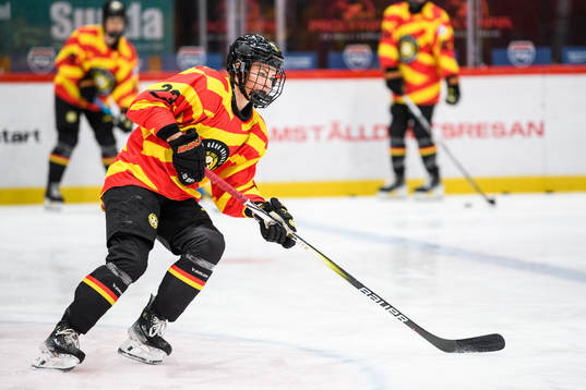 Brynäs Moa Wernblom