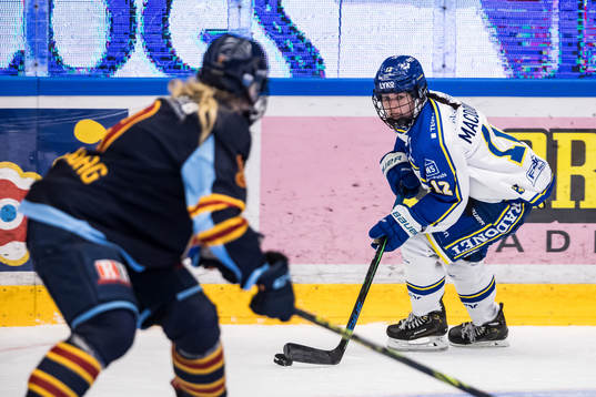 Leksands Autumn Macdougall
