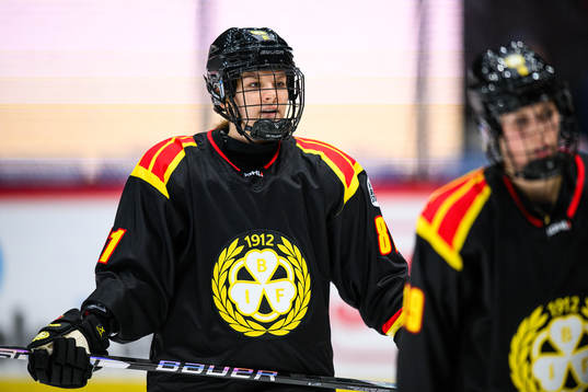 Brynäs Noemi Neubauerova