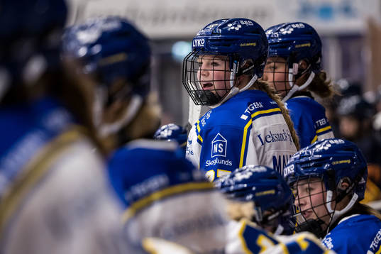 Leksands Shay Maloney