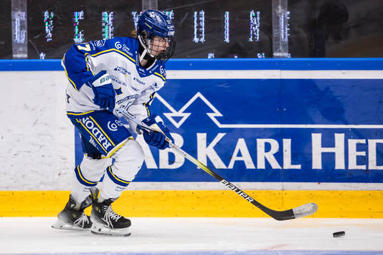 Leksands Tereza Radova