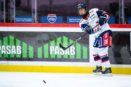 Linköpings Tako Hitosato