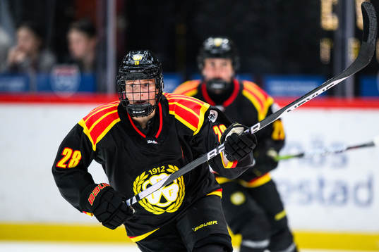 Brynäs Jenny Antonsson