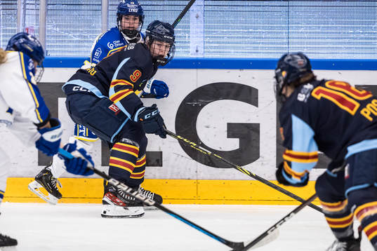 Djurgårdens Linnea Natt Och Dag
