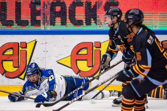 ???och Leksands Shay Maloney