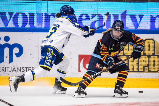 Djurgårdens Brette Pettet